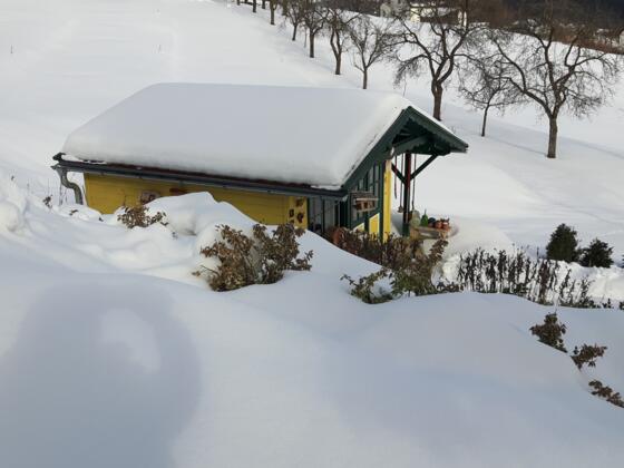 Gartenhaus im Winter
