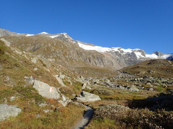 Im flachen Boden nördlich der Essener-Rostocker-Hütte