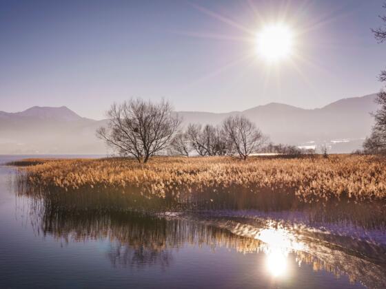 Winterzauber am Tegernsee