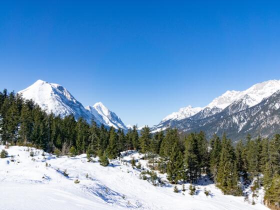Blick vom Katzenkopf ins Gaistal. Links die Hohe Munde.