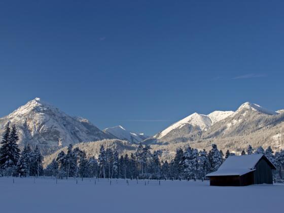 Farchant-Winter-01052006021.jpg