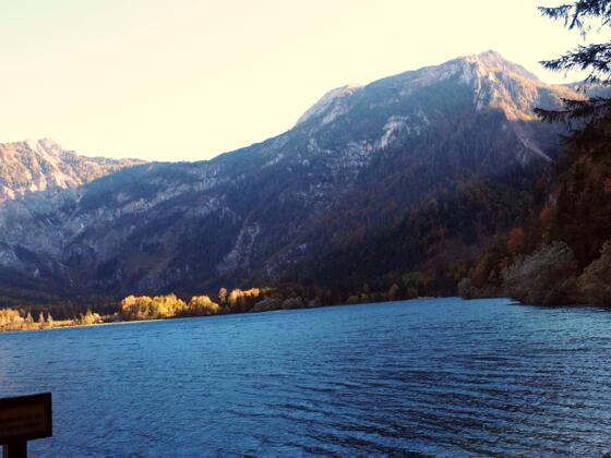 Offensee Westufer ~650m