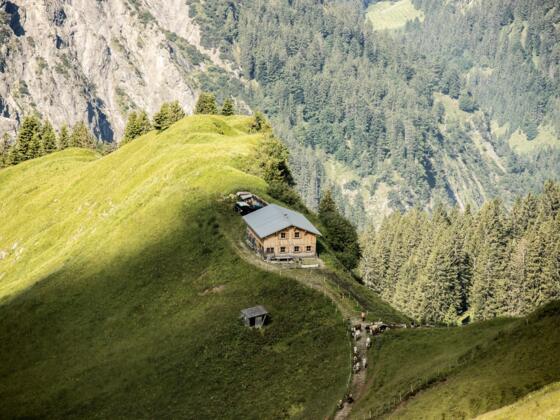 Ausblick auf den Nordalpenweg vorbei an der Schadona-Alpe