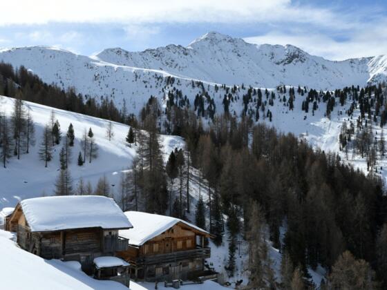 Blick von der Kasermähderalm zum Kalksteinjöchl.