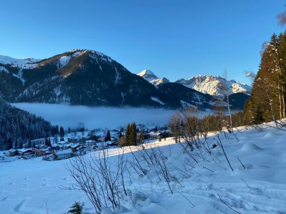 9339f381-548b-4e65-8f35-642d89b5f166