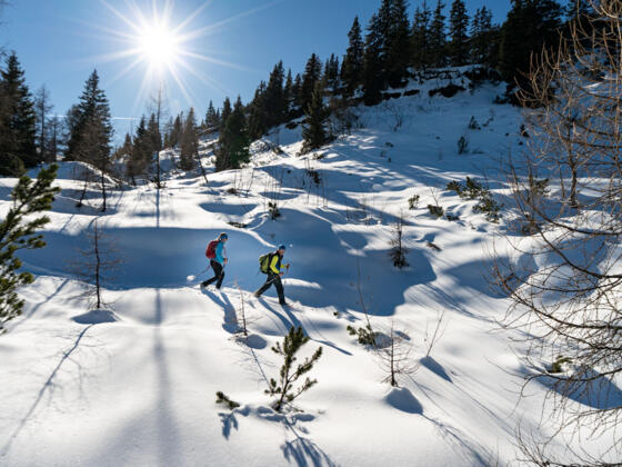 Schneeschuhwandern auf der Hemmersuppenalm