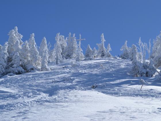 Die letzten Meter zum Gipfel des Riedberger Horn