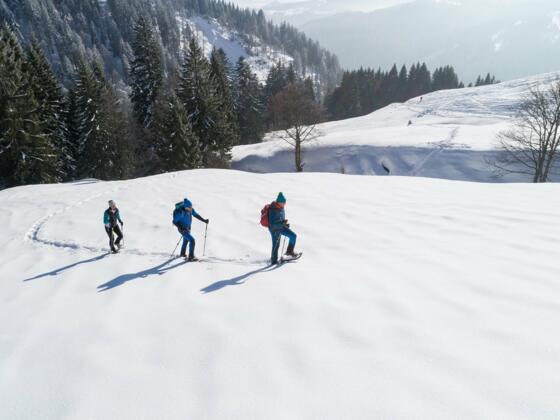 180209_frithjofkjer_balderschwang_winter_drohne_0028_1