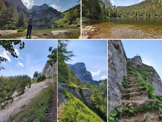 Collage Schafberg Runde