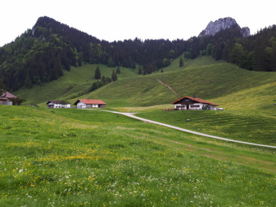 Heubergalmen mit Deindlalm rechts und der Wasserwand im Hintergrund - © Chiemsee-Alpenland Tourismus