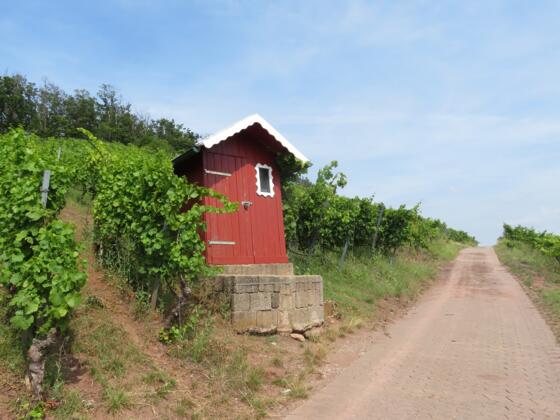 Weinberghäuschen am Kronberg