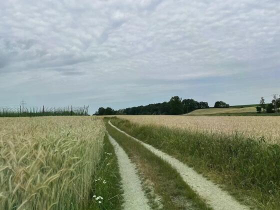 Multimedia Audioguide auf dem Rad mit der Locandy App durch die Region 10