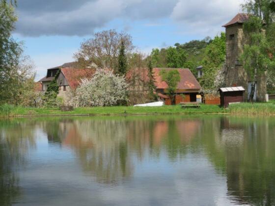 Dorfweiher Eschenau