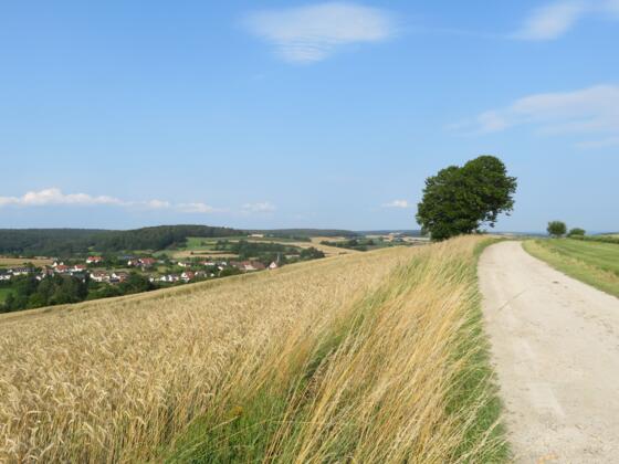 Auf dem Holzberg