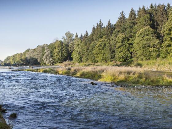 Die Iller bei Illertissen