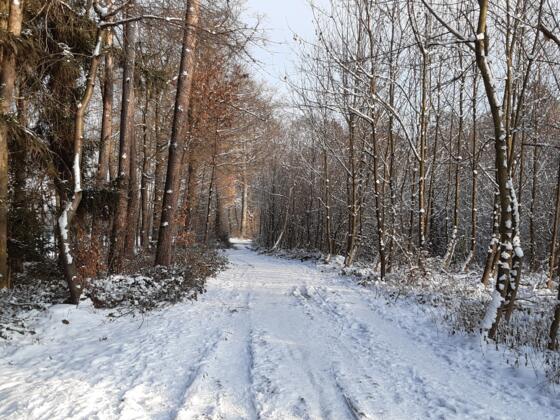 Feierabend-Runde Hettenhausen