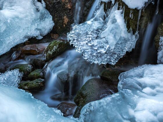 Der Winter zaubert seine Kunstwerke am Bachtelweg, der dem Burgberger Dorfbach folgt.