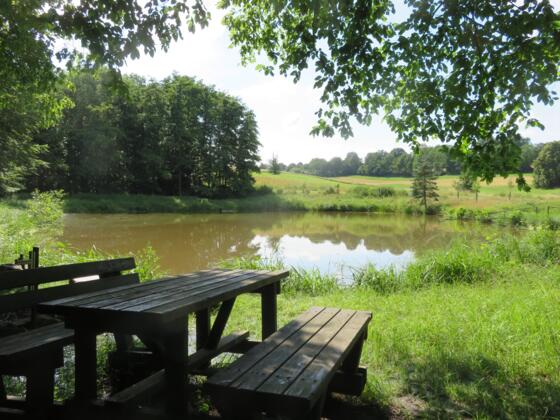 Seeblick