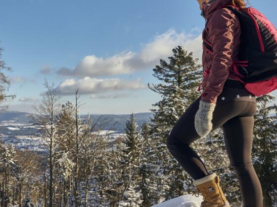 Winterwandern