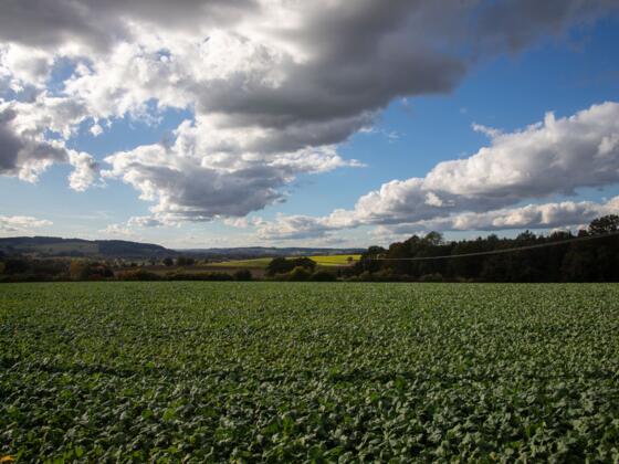 Lengham St Ulrich Ausblick