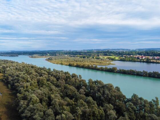 Um den Inn zu Gesicht zu bekommen, muss man ein Stück weit auf dem Damm laufen. Hier ein Blick von oben auf den Fluss, der Bayern hier von Österreich trennt.
