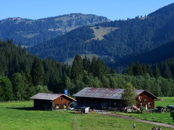 Scheuenalpe
