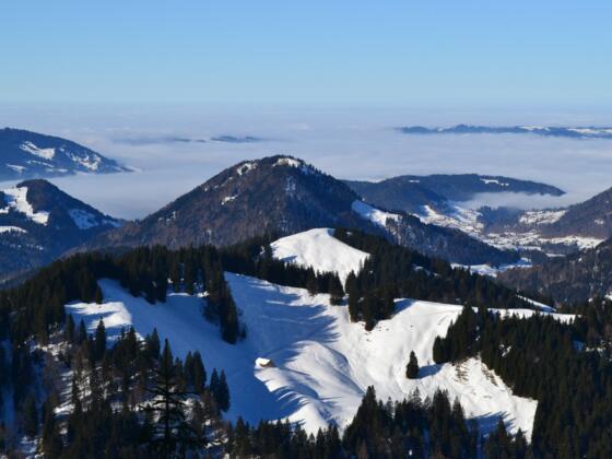 Der Blick vom Feuerstätterkopf reicht bis zum von Wolken bedeckten Bodensee.