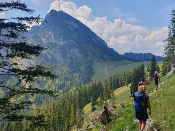 Weg von der Hochsalwand zum Wendelstein