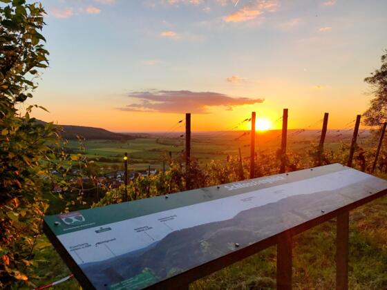 Zell a. E. Schlossberg Panorama Abendstimmung