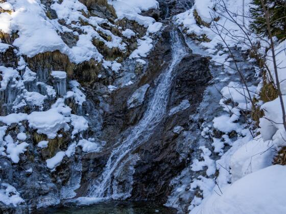 Winter im Hirschbachtobel