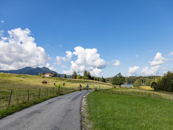 Alpe Kögelhof und Kögelweiher