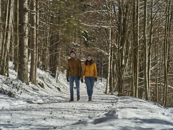Winterwandern / Vierjahreszeitenweg