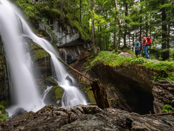 Imposant: der Schrainbachfall kurz nach dem Beginn der Wanderung zum Kärlingerhaus.