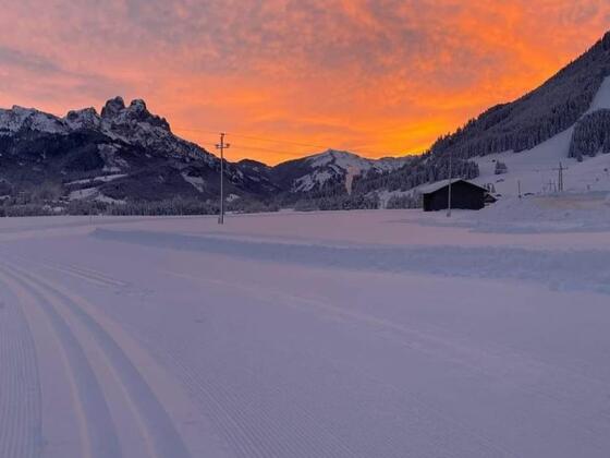 Gasthaus Pension Bergheim