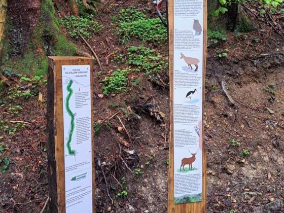 Station Waldnaturschutz Adelegg