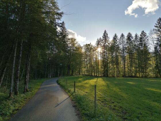 Enge Vorsäß in Mellau