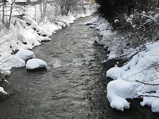 Saalach im Winter
