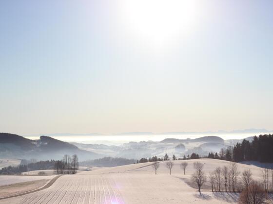 Panorama Bio-Vierseithof_Winterlandschaft