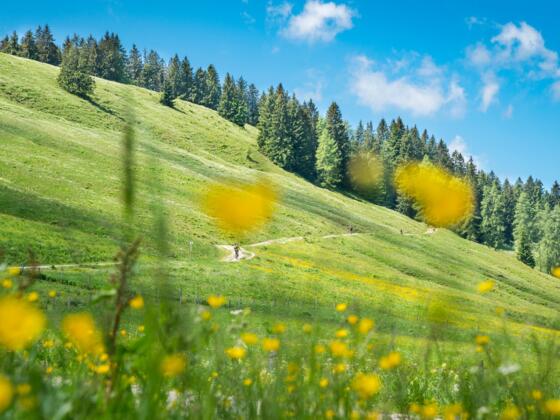 Unterwegs am Schliersberg
