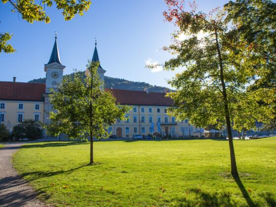 Schmetterlingsgarten vor der Katholische Pfarrkirche St. Quirinus