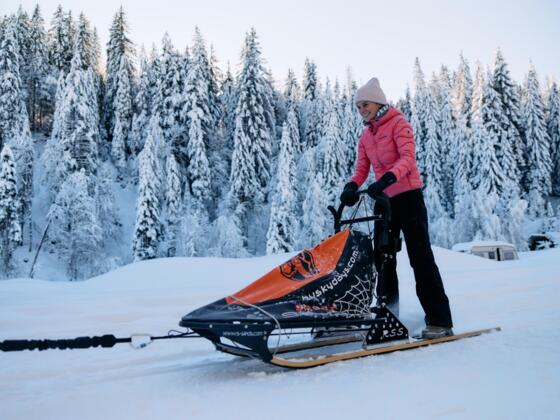 Huskycamp Kleinwalsertal Winter