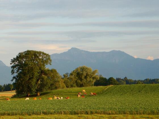 Idyllische Landschaft mit Bergpanorama