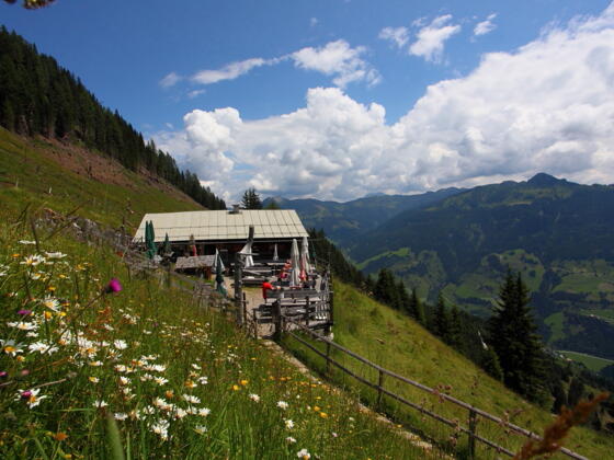 Viehhausalm