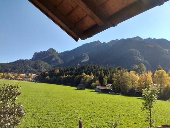 Blick vom Balkon