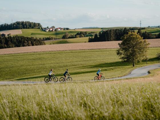 Radfahren durchs hügelige Mühlviertel