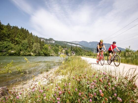 Rückfahrt entlang der Traun nach Bad Goisern auf dem Gravelbike auf der Goiserer Natur Runde