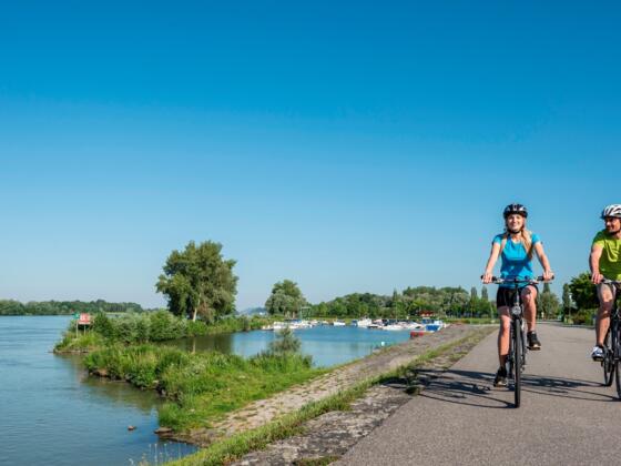 Donauradweg bei Au an der Donau