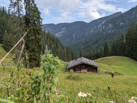 Die Dalsenalm im Lattengebirge