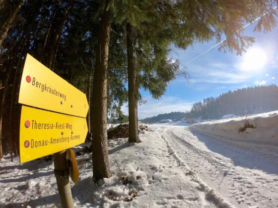 Bergkräuterweg