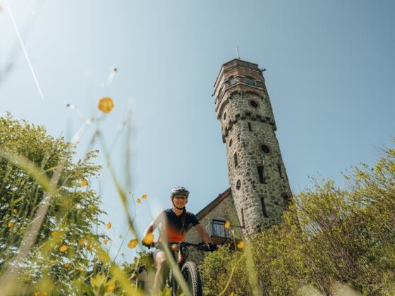 Mountainbikerin fährt bei der Ameisbergwarte